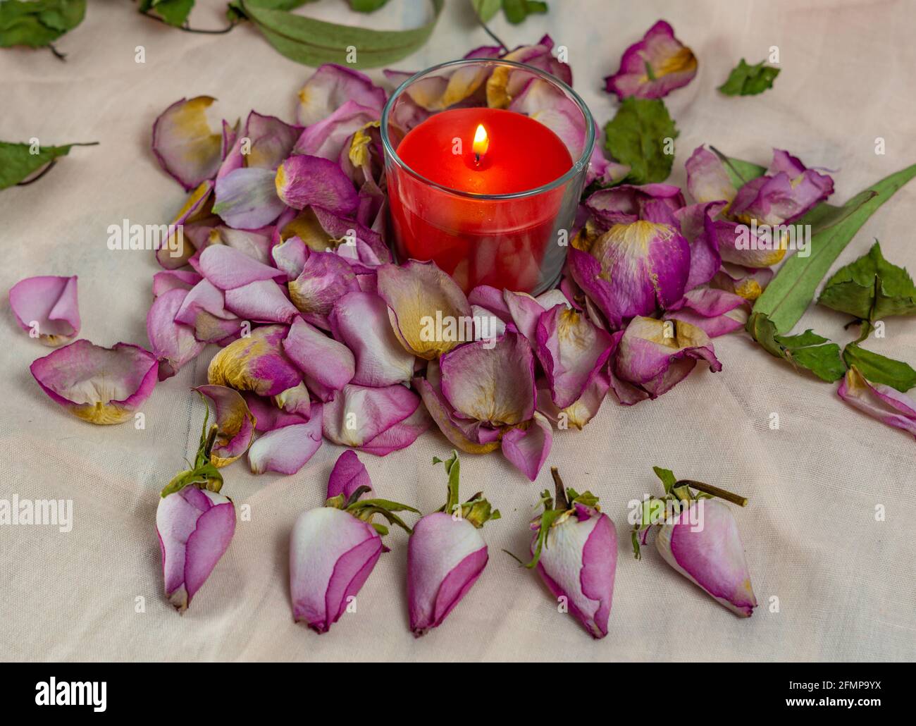 Getrocknete Rosen, Kerze und Buch Stockfoto