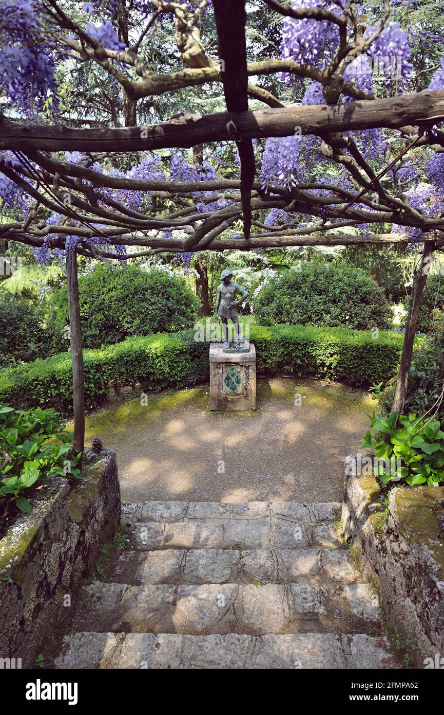 Eine große Pergola von Wisteria Sinensis färbt die Viale dell'Immenso, wo wir die Bronzestatue von David bewundern können, die vom neapolitanischen Bildhauer Gio angefertigt wurde Stockfoto