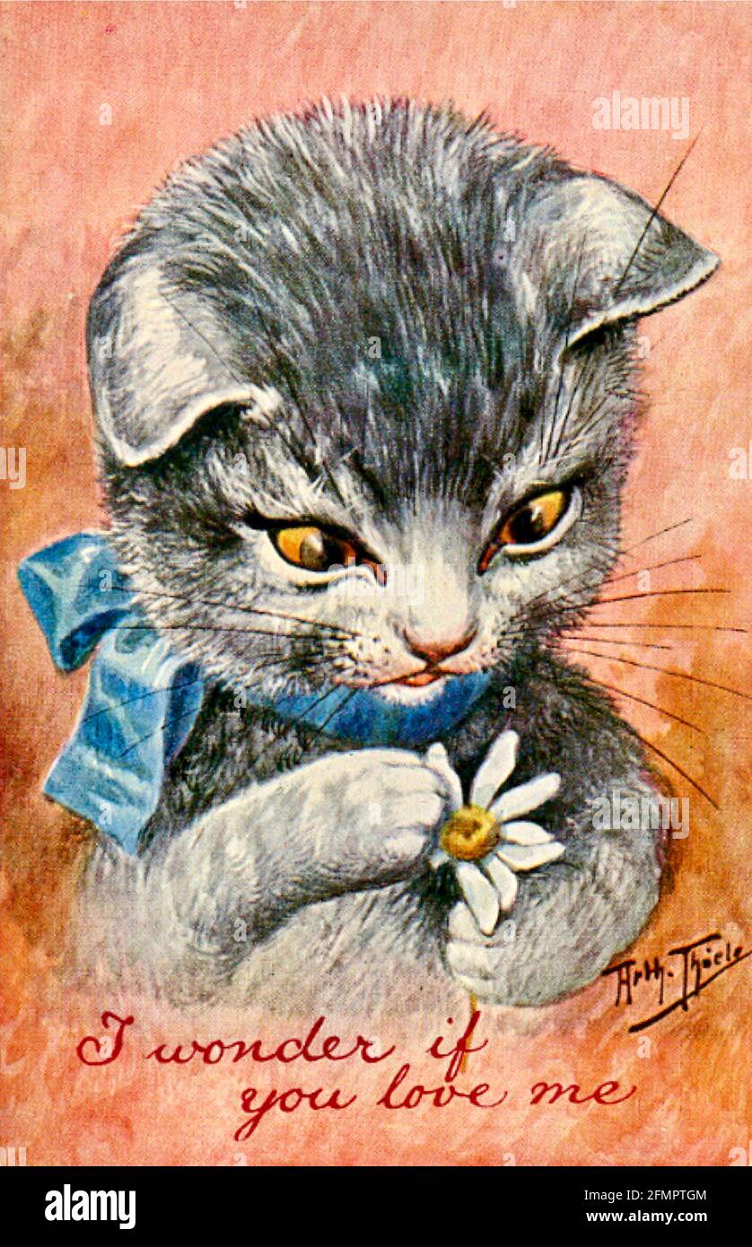 Arthur Thiele Cat Artwork - Ich wundere mich, wenn du mich liebst Stockfoto