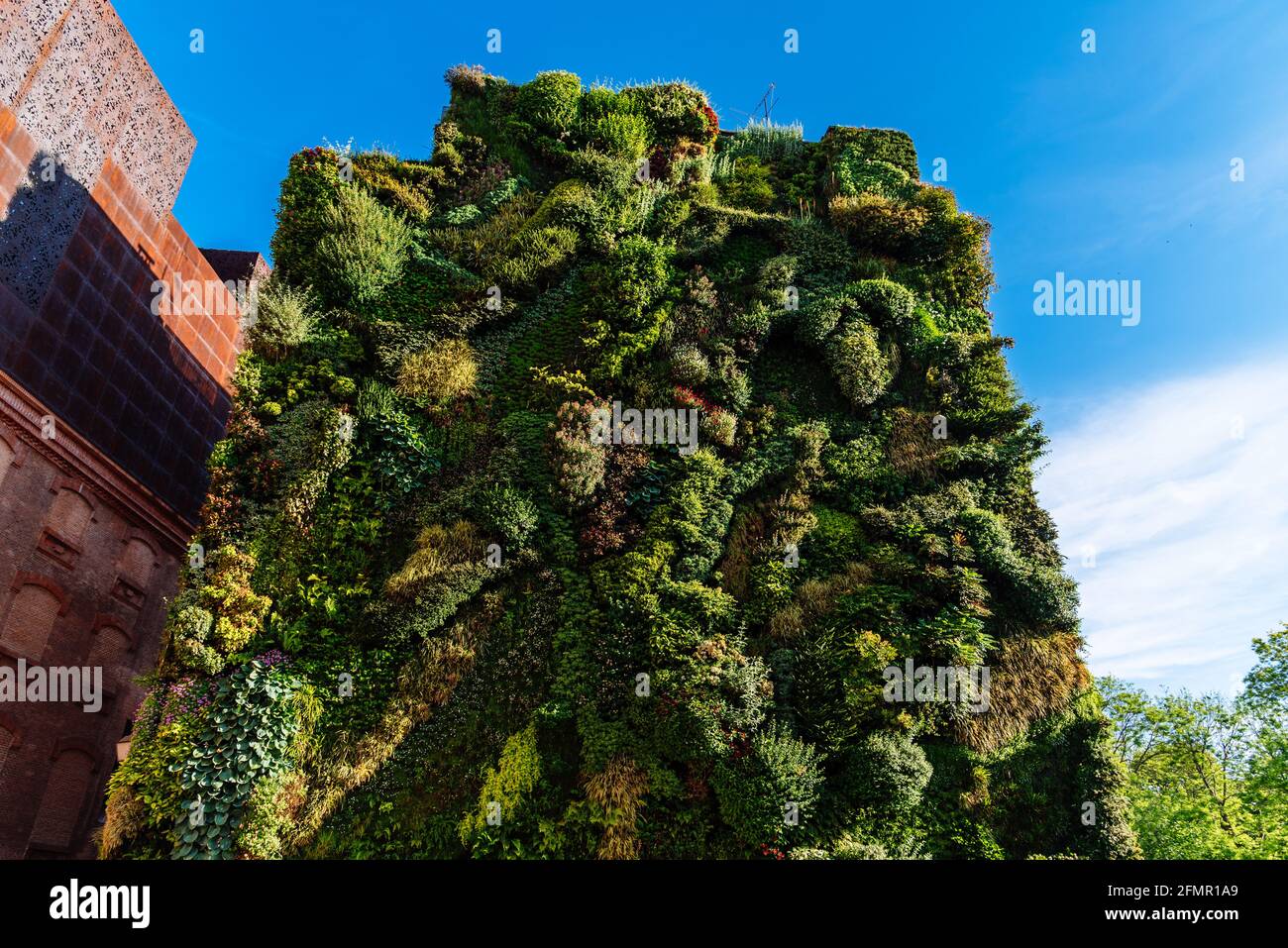 Madrid, Spanien - 8. Mai 2021: Blick auf den vertikalen Garten im CaixaForum Madrid. Es ist ein Museum und Kulturzentrum in Paseo del Prado sponvore Stockfoto