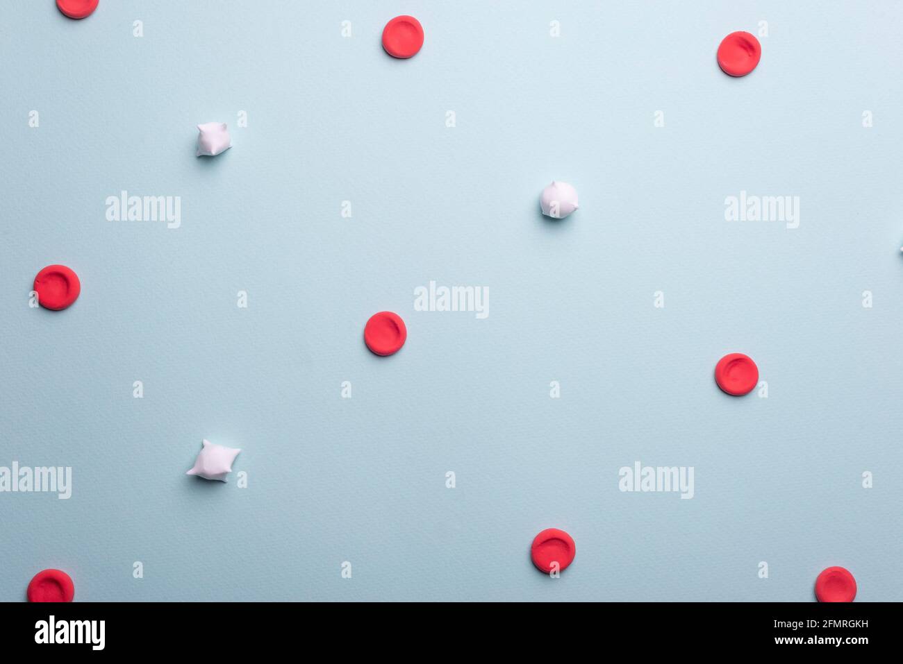 Medizinische Flatlay roten und weißen Blutkörperchen. Rote Blutkörperchen und Leukozyten auf blauem Hintergrund. Stockfoto