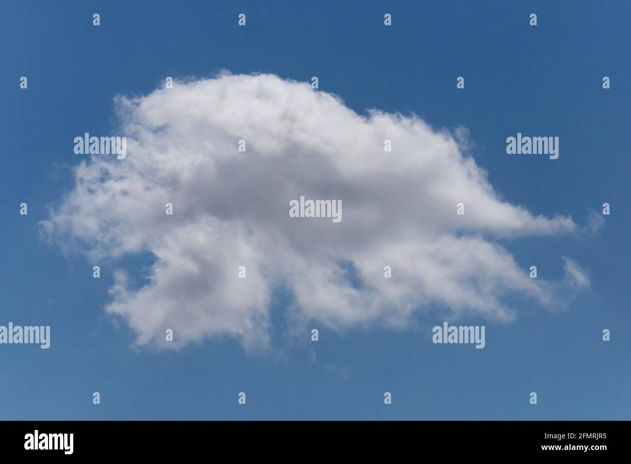 Nahaufnahme einer weißen Wolke am blauen Himmel Stockfoto