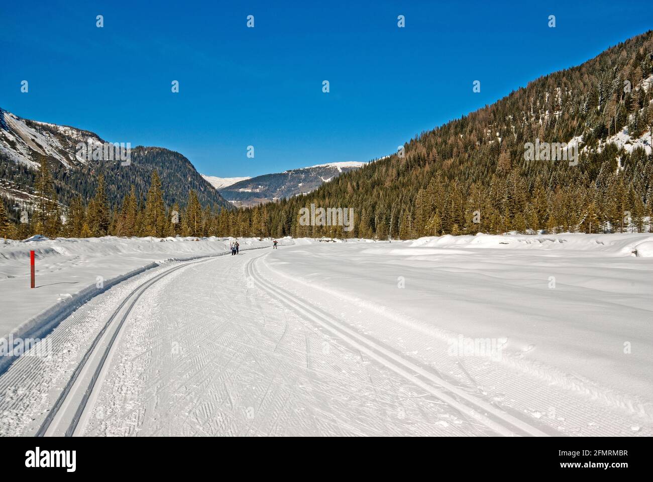 Langlaufloipe im Fiscalina-Tal, Trentino-Südtirol, Italien Stockfoto