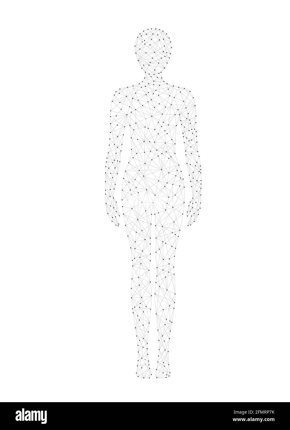 Abbildung des Vektorgrafiks für den Körper einer Frau mit niedrigem Poly-Drahtmodell. Medizin, Wissenschaft und Technologie Konzept. Stock Vektor