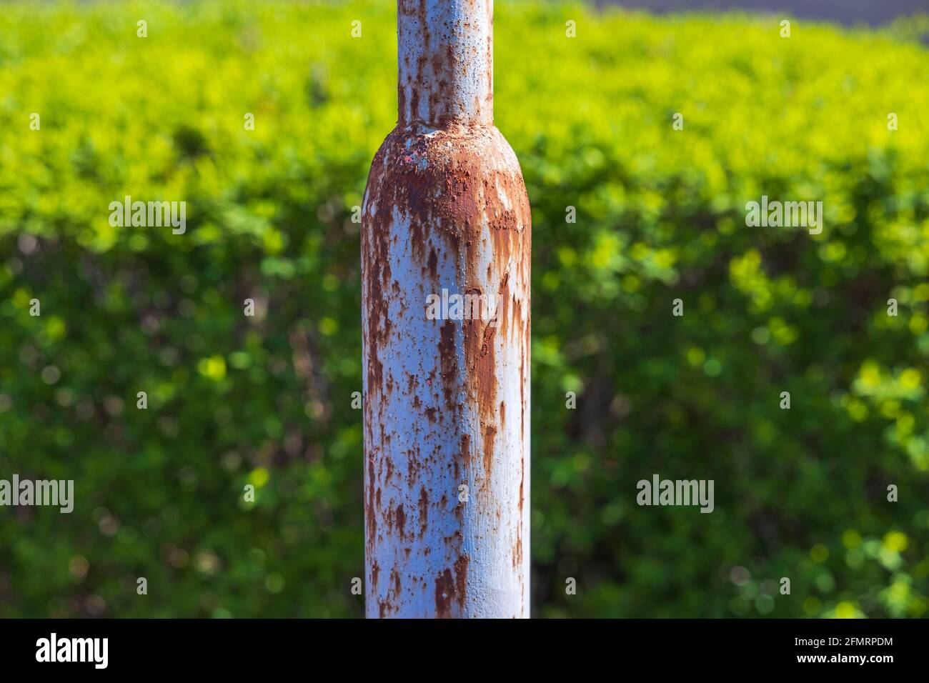 Nahaufnahme von rostigen Metallmasten auf grünem Buschhintergrund. Stockfoto