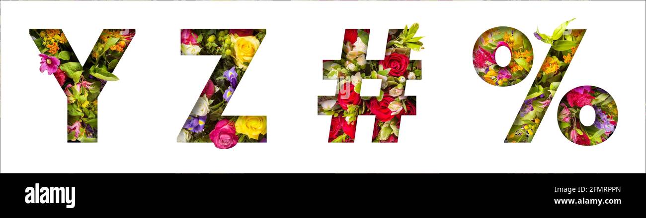 Blumenbuchstaben. Die Buchstaben Y,Z sind aus bunten Blumenfotos gemacht. Eine Sammlung wunderbarer Flora-Buchstaben Stockfoto