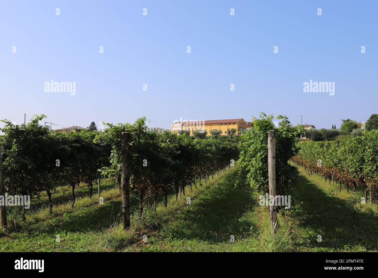 ITALIEN, VENETIEN, VERONA, BARDOLINO - 16. SEPTEMBER 2019: Weingüter und Bau der Weinkellerei Zeni in Bardolino. Stockfoto