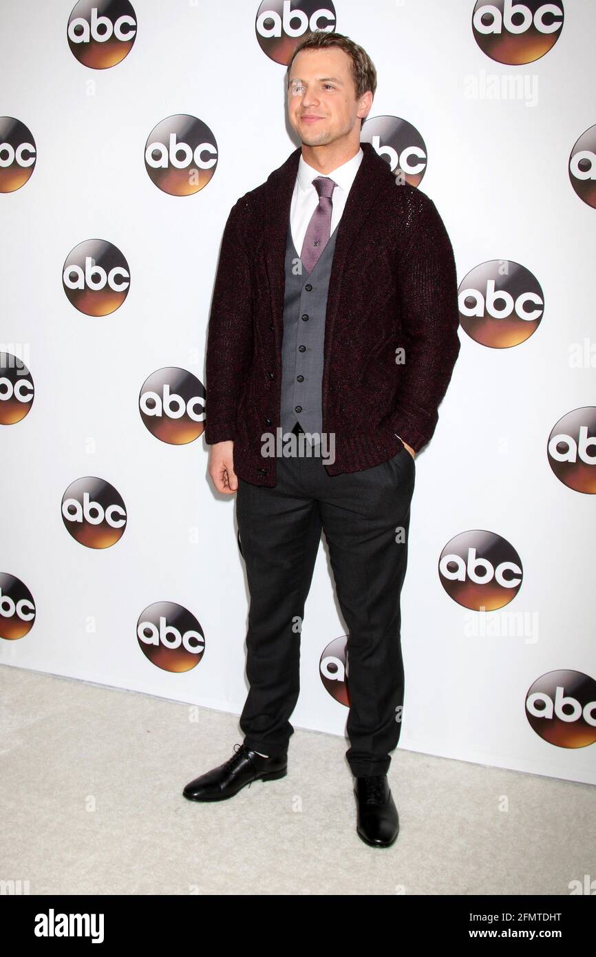 LOS ANGELES - JAN 10: Freddie Stroma bei der Disney/ABC TV TCA Winter 2017 Party im Langham Hotel am 10. Januar 2017 in Pasadena, CA Stockfoto