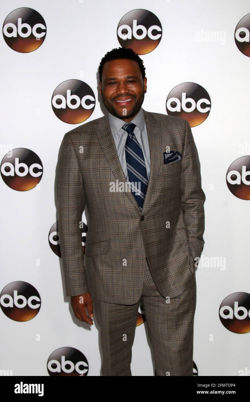 LOS ANGELES - JAN 10: Anthony Anderson bei der Disney/ABC TV TCA Winter 2017 Party im Langham Hotel am 10. Januar 2017 in Pasadena, CA Stockfoto