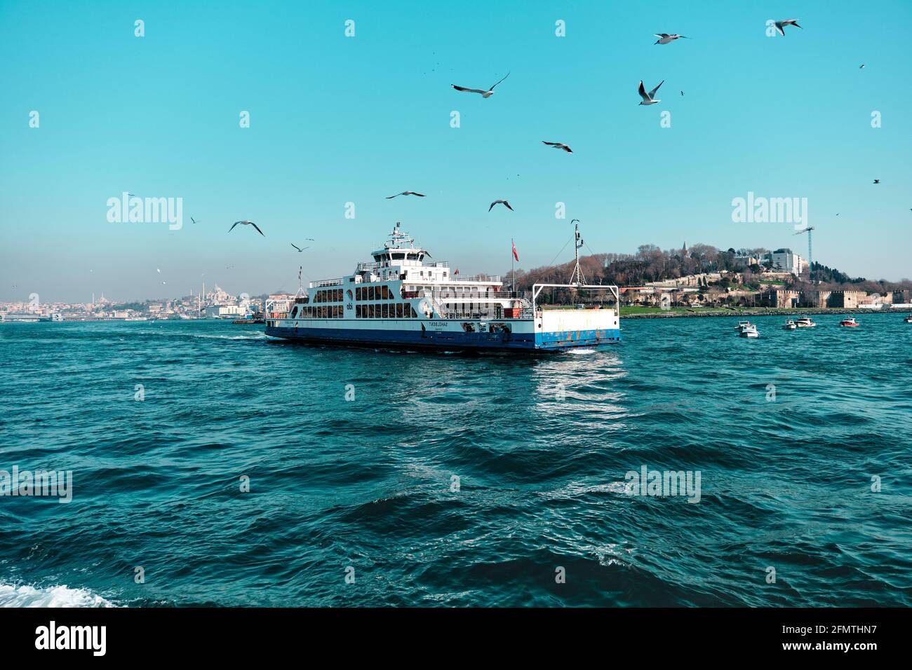 Binnenschiff und Fähre in istanbul bosporus früh am Morgen mit Möwen und Vögeln auf türkisfarbenem Meer. Stockfoto