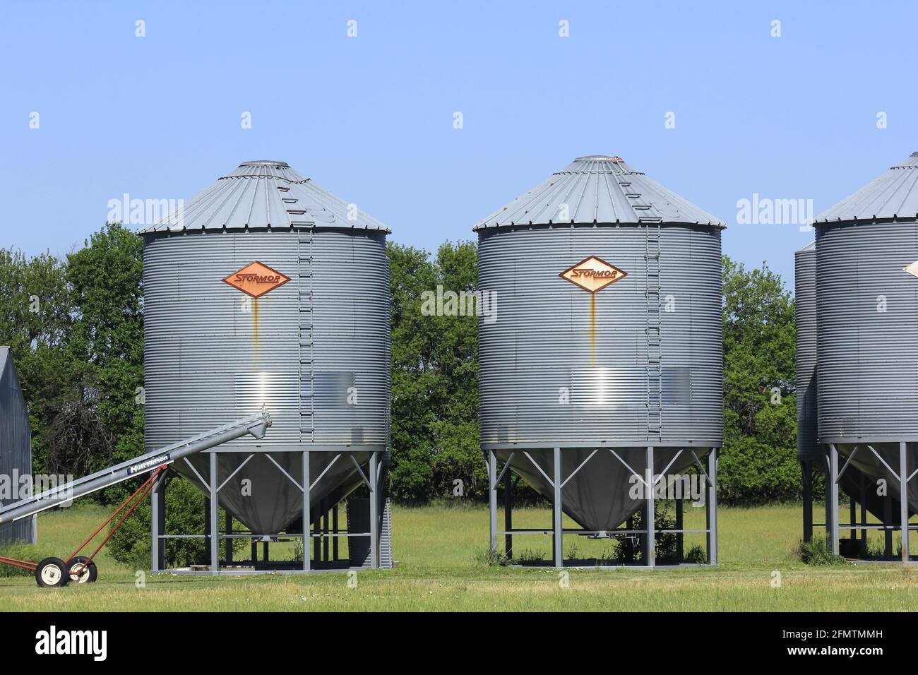 Kansas Country Getreidebehälter mit blauem Himmel, grünem Gras und Bäumen, die im Norden von Lyon, Kansas, USA, hell und farbenfroh sind. Stockfoto