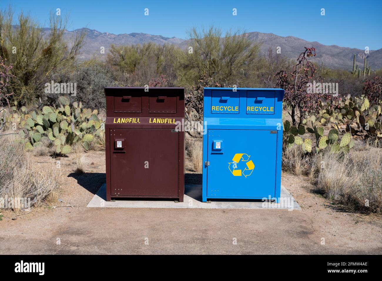 Müll- und Recyclingbehälter in der Arizona Desert im Saguaro National Parken Stockfoto