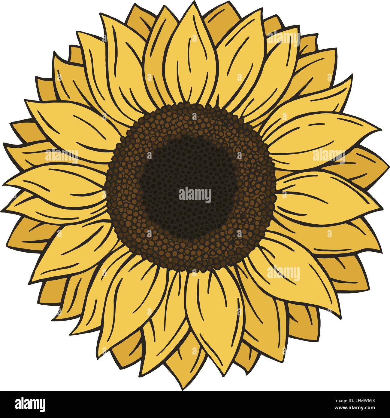 Schöne bunte Doodle Stil Sonnenblume isoliert auf weißem Hintergrund. Handgezeichnete Blume im Vektorformat Stock Vektor