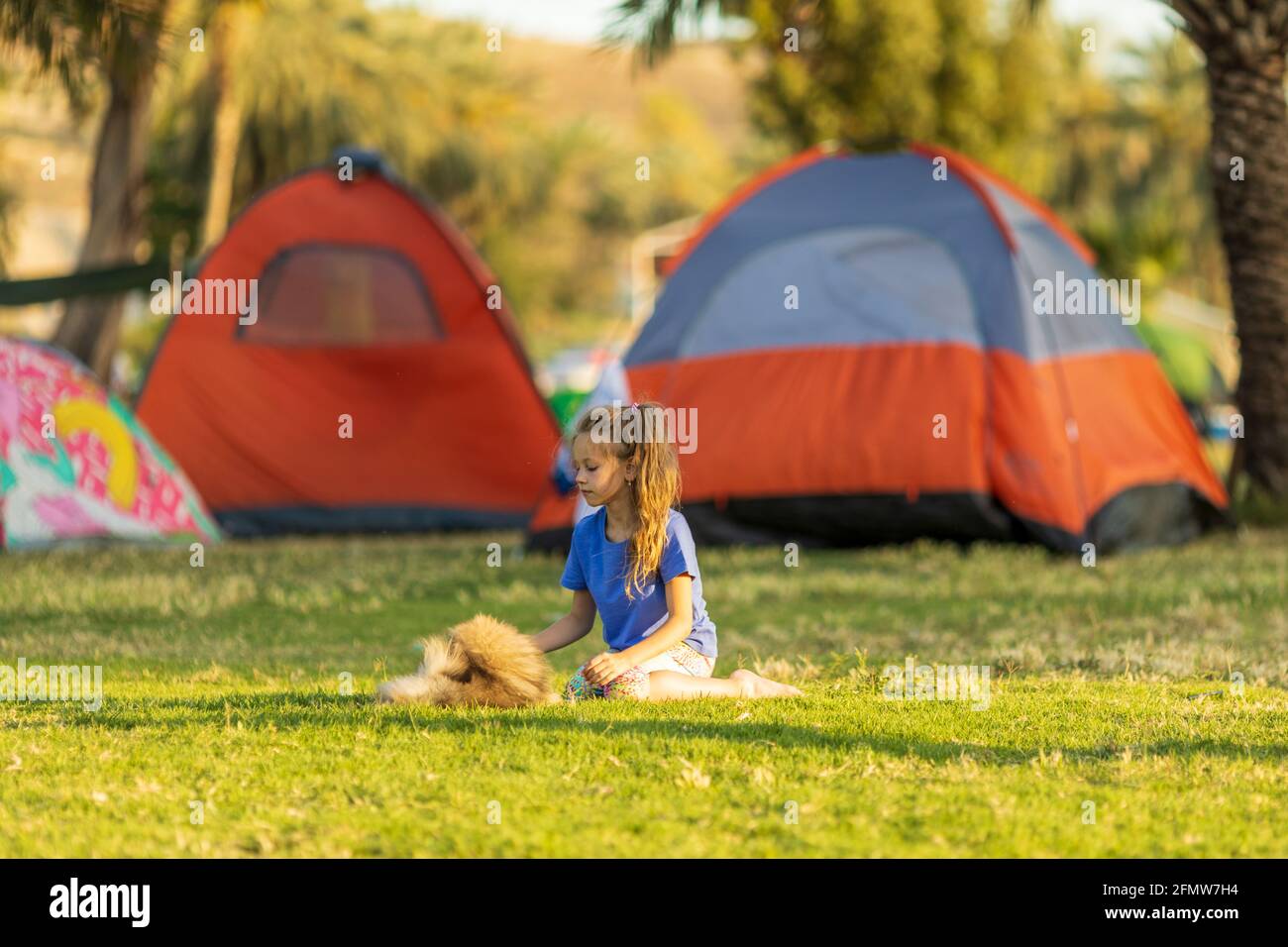 Kleines Mädchen spielt mit einem Welpen vor einem Zelt während einer Wanderung. Das Konzept von Outdoor-Aktivitäten und Outdoor-Abenteuer Stockfoto