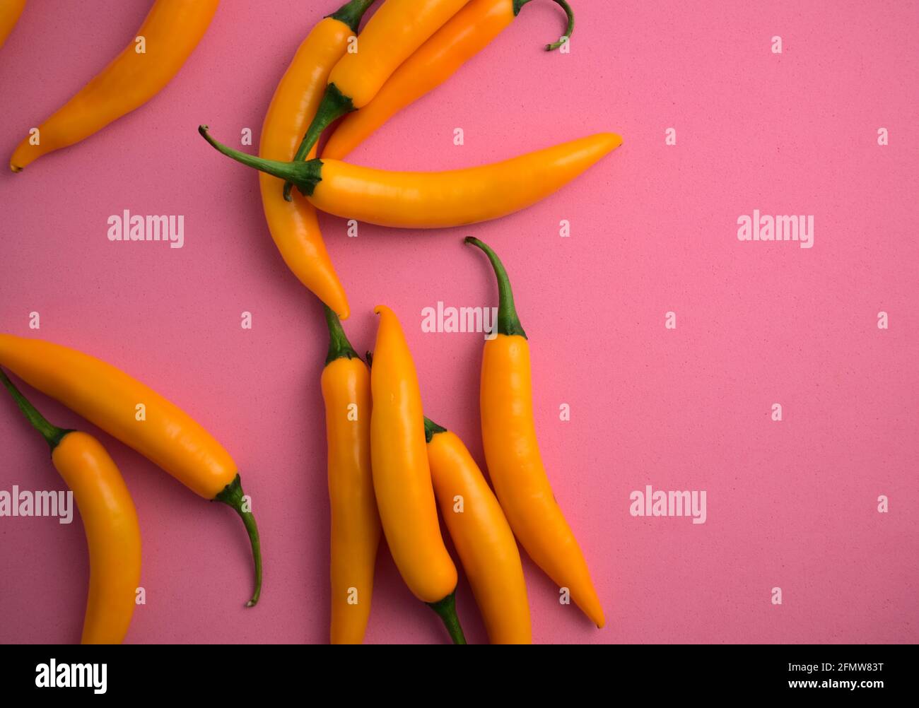 Frische natürliche lebendige gelbe Chilischoten liegen flach auf rosa Hintergrund. Schöne Küche, würzige Zutaten, Food Styling, Heißgeschmack Mahlzeit Konzept. Stockfoto