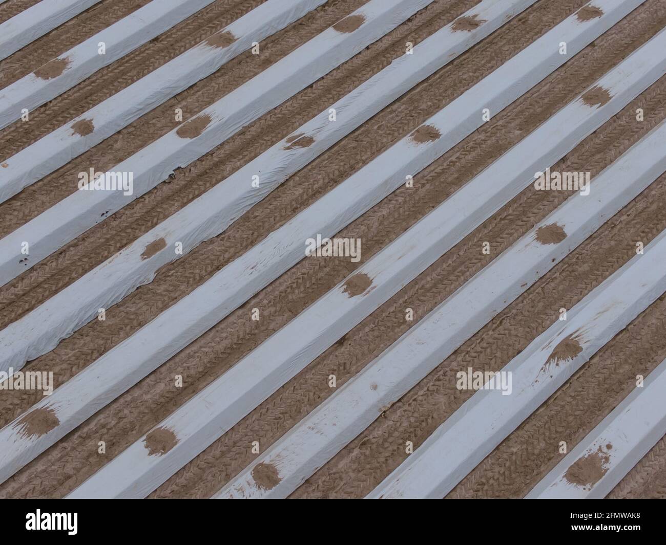 Spargelfeld fotografiert mit einer Drohne, interessante Ansicht der verschiedenen Spargelreihen, die ein Muster bilden, Nordrhein-Westfalen, Deutschland Stockfoto