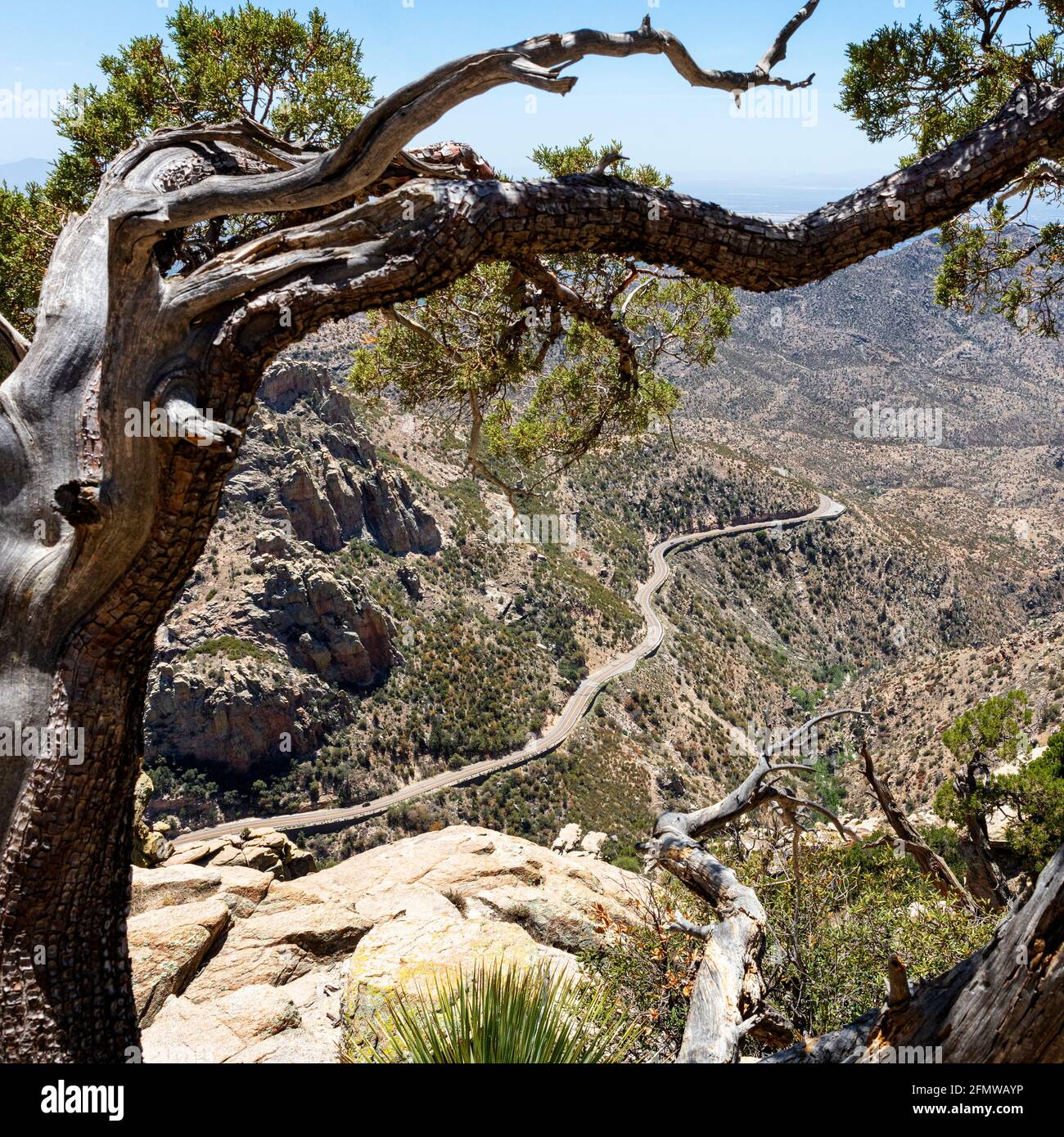 Blick von Windy Point Vista, Catalina Highway in der Ferne, Mt. Lemmon, Santa Catalina Mountains, Tucson, Arizona Stockfoto