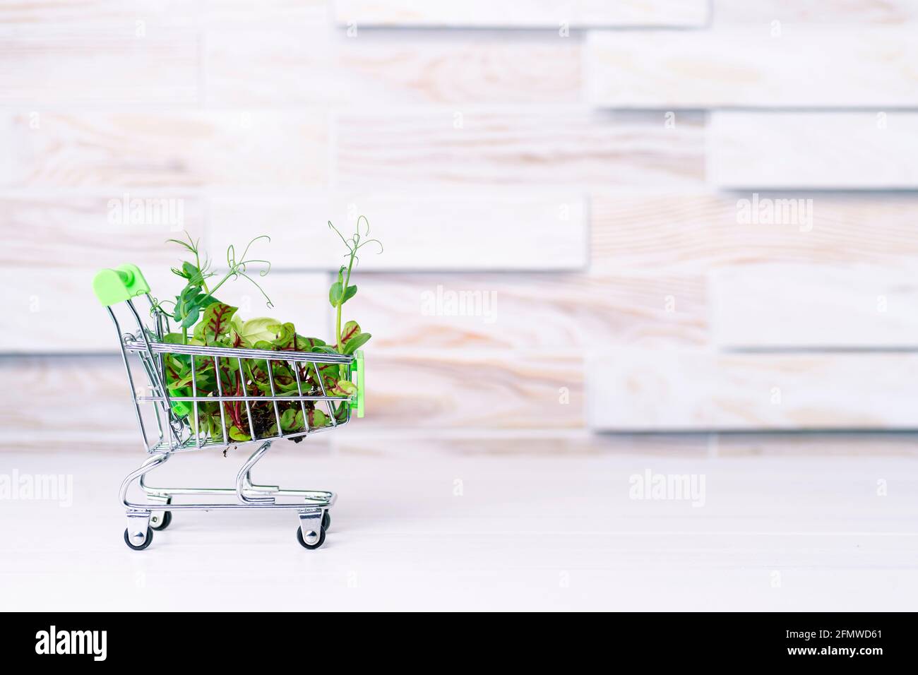 Frisches Öko Greens Lieferkonzept, junge Microgreens im Warenkorb auf einem Holztisch. Stockfoto