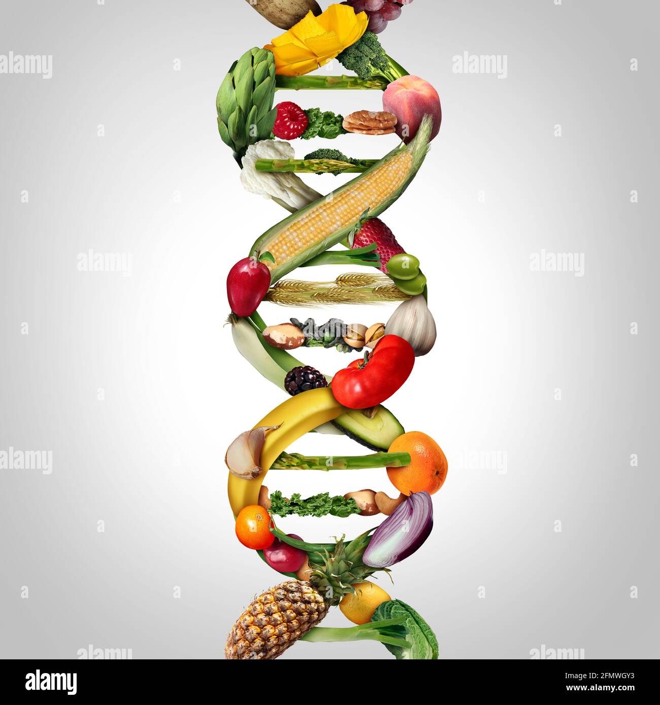 GVO-Lebensmittel und gentechnisch veränderte Pflanzen oder gentechnisch veränderte Landwirtschaft Konzept mit Biotechnologie und genetische Manipulation durch Biologie Wissenschaft. Stockfoto