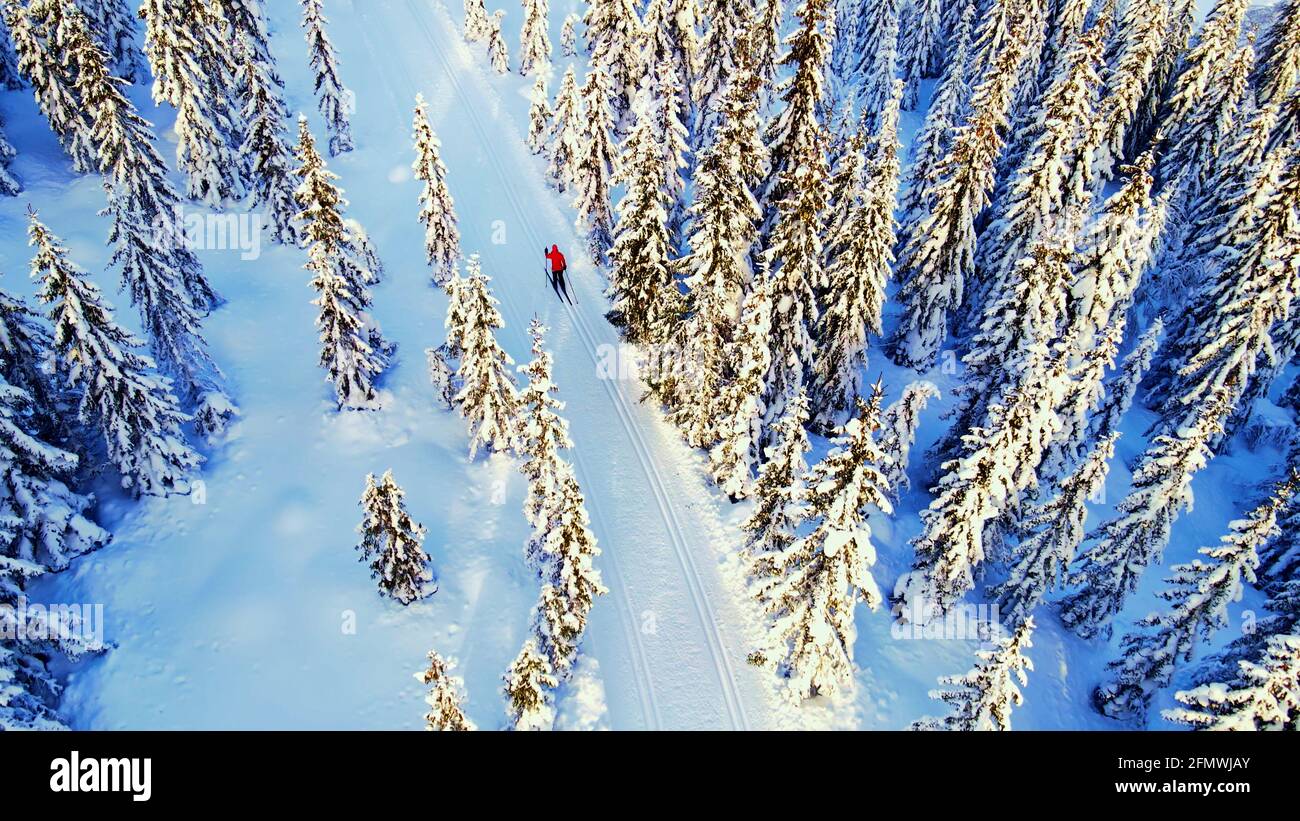 Frau Skilanglauf durch ein idyllisches Winterwunderland. Stockfoto