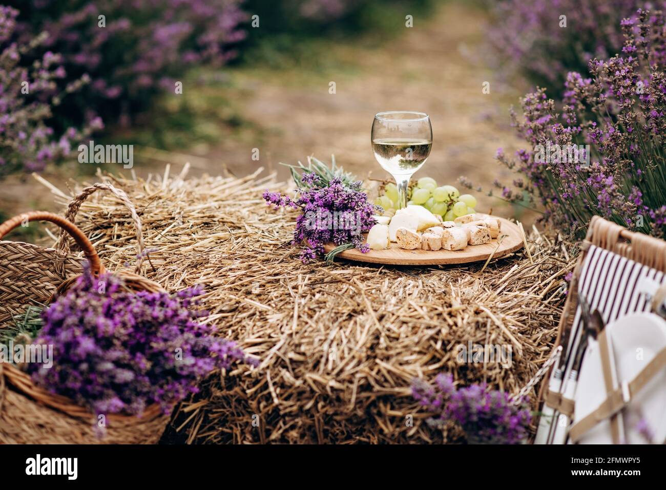 Ein Glas Weißwein, Käse, Trauben, Biscotti und ein Blumenstrauß auf einem Heuhaufen zwischen Lavendelbüschen. Romantisches Picknick. Weicher, selektiver Fokus. Stockfoto