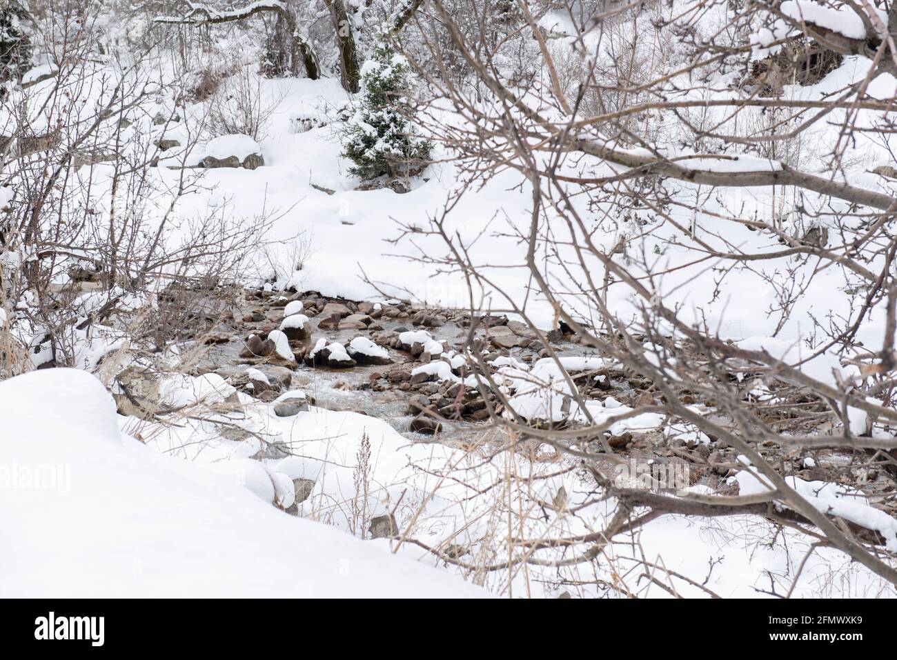 Kalter Gebirgsfluss im Schnee in den Bergen Stockfoto