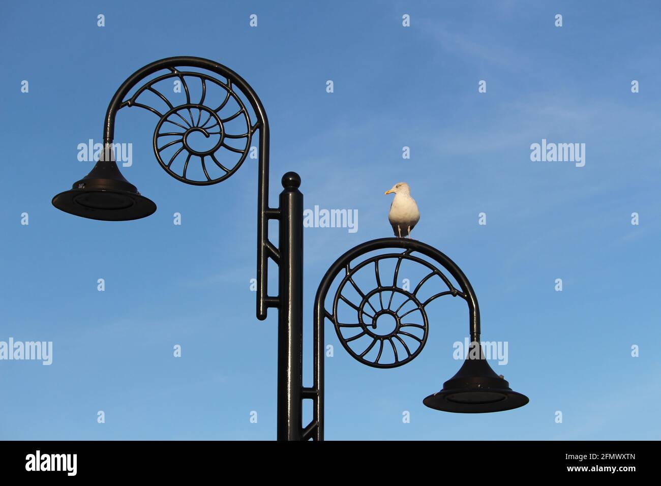 Eine Möwe thront auf der fossilen Lampenpfosten, in Lyme Regis uk. Stockfoto