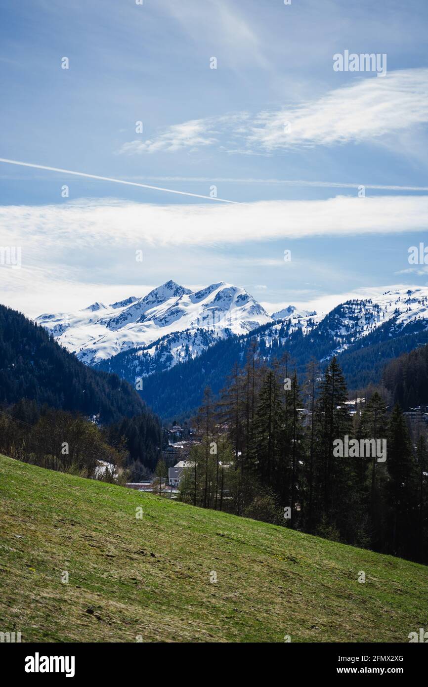 Blick von einem Grasfeld auf schneebedeckte Berge in St.Anton, Österreich. Coniefers und andere Bäume lassen die Szene grün und schön aussehen. Dorf Stockfoto