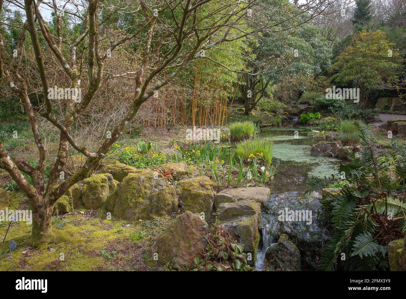 Wasserfall läuft der See von Frühlingsblumen und Wald umgeben Stockfoto