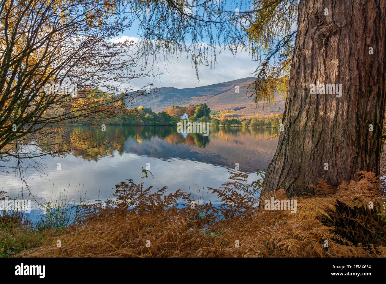 Loch Alvie, Aviemore, Schottland, Vereinigtes Königreich Stockfoto