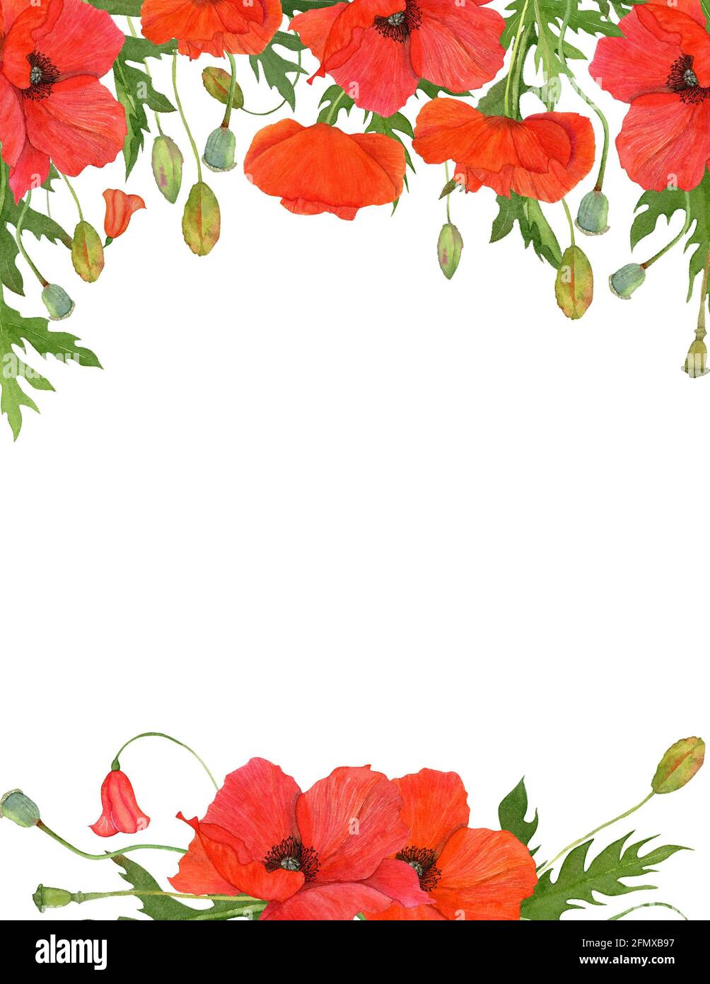 Aquarell-Blumenrand, rote Wiesenmohn mit grünen Blättern und Knospen. Stockfoto