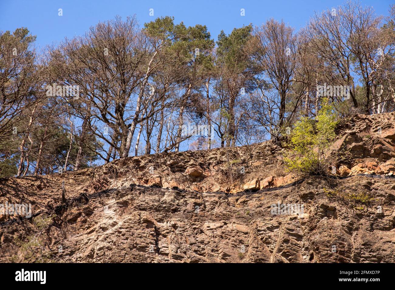 Am Steinbruch Dükelberg im Muttental bei Witten-Bommern sieht man eine Kohleschicht, die erste Steinkohle im Ruhrgebiet soll b haben Stockfoto