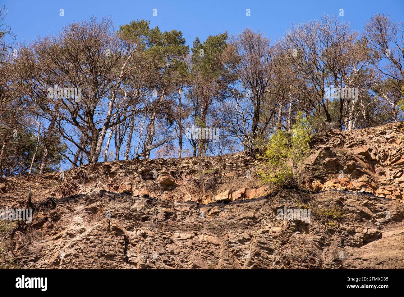 Am Steinbruch Dükelberg im Muttental bei Witten-Bommern sieht man eine Kohleschicht, die erste Steinkohle im Ruhrgebiet soll b haben Stockfoto