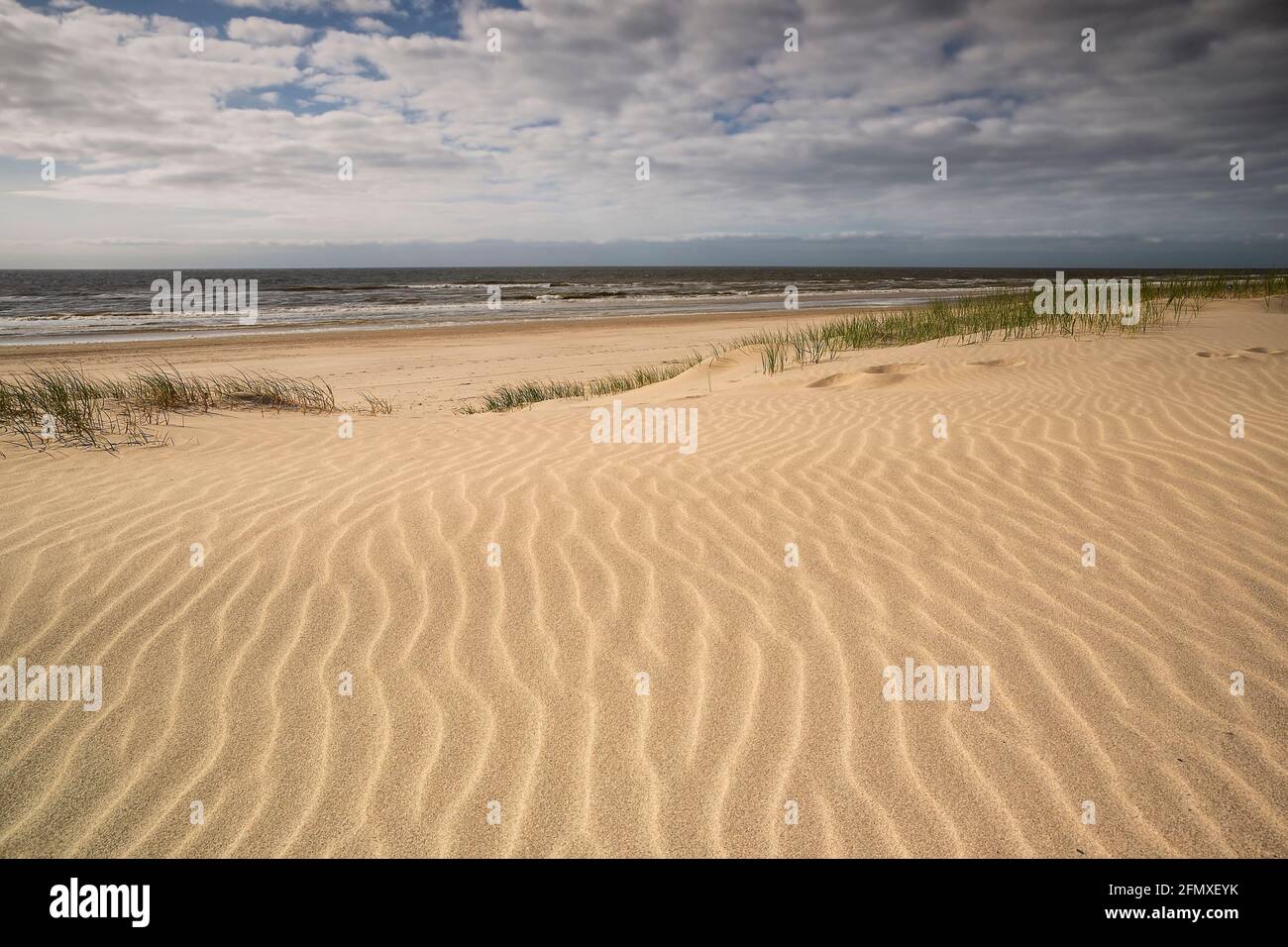 Sandstrand an der Nordsee, Niederlande Stockfoto