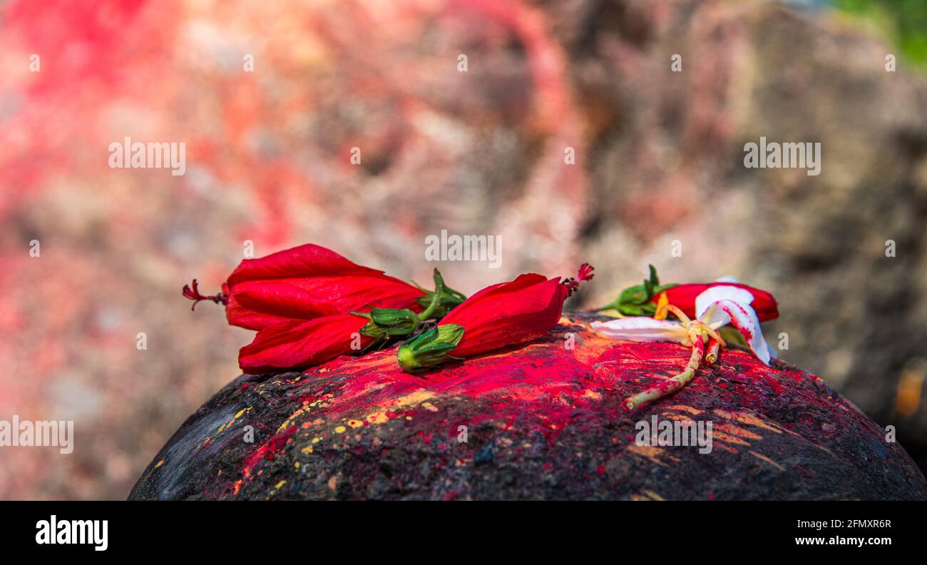 Eine kleine Sammlung von roten Blumen und Puder bei A Religiöse Stätte in Nepal als Opfergabe an Buddha Stockfoto