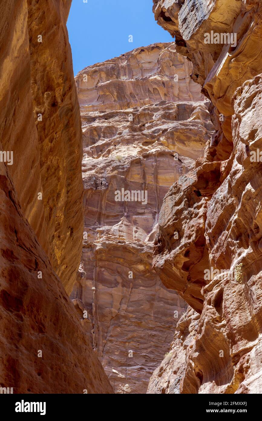 Sandsteinfelsen mit Anzeichen von Verwitterung und Erosion, Muster und Strukturen von Gesteinsformationen, die durch Eisen und Mangan in Siq, Petra, Jordanien, geschaffen wurden Stockfoto