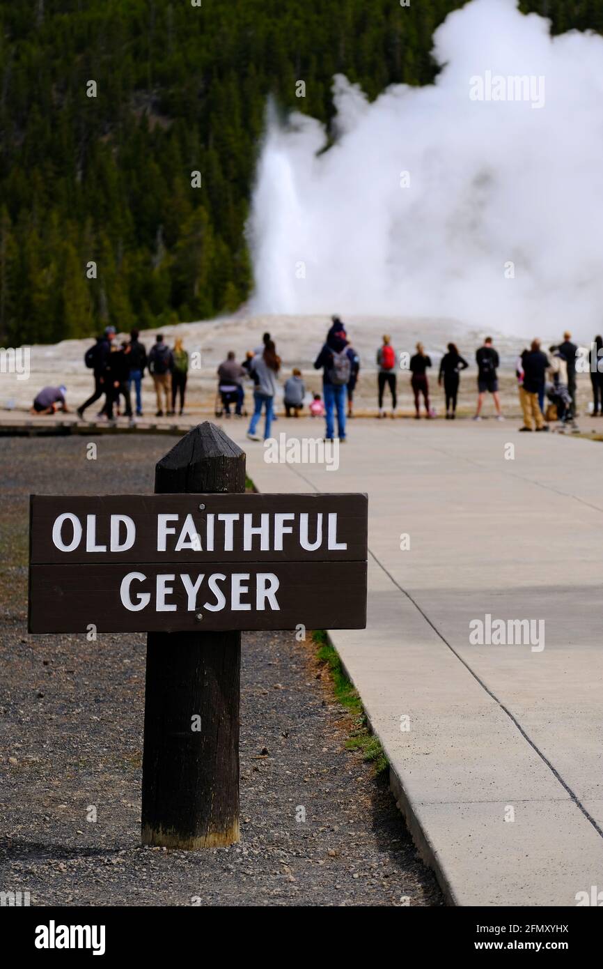 Touristen beobachten und beobachten Old Faithful Geyser in Yellowstone Nationalpark Stockfoto