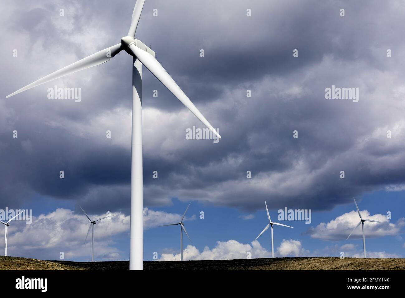 WA20209-00....WASHINGTON - Wilder Pferd Windpark mit erneuerbarer Energie, der von Puget Sound Energy in der Nähe von Ellensburg betrieben wird. Stockfoto