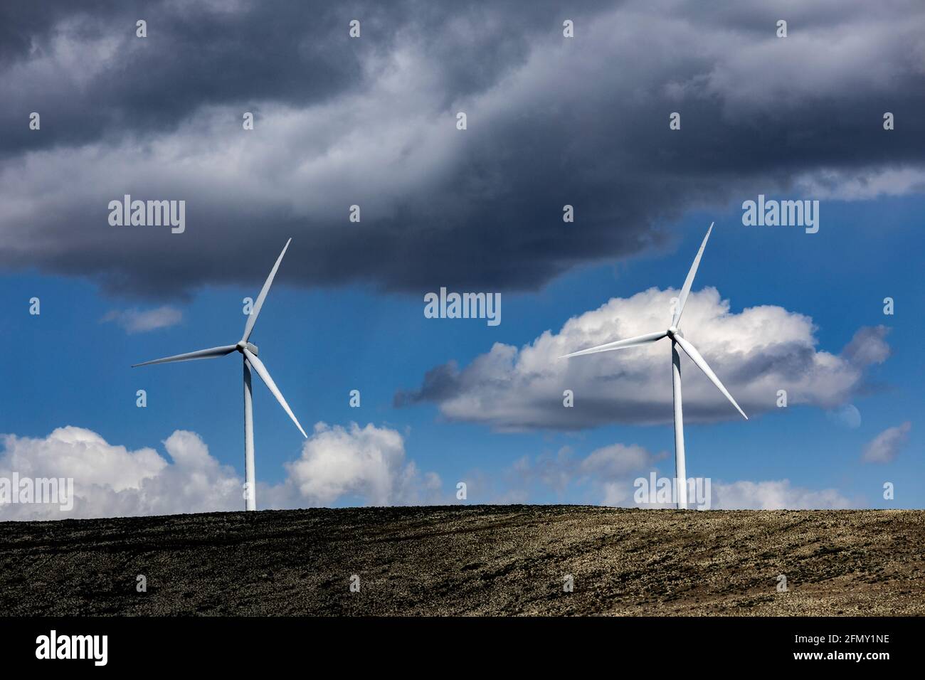 WA20210-00....WASHINGTON - Windpark Wild Horse mit erneuerbarer Energie, der von Puget Sound Energy in der Nähe von Ellensburg betrieben wird. Stockfoto