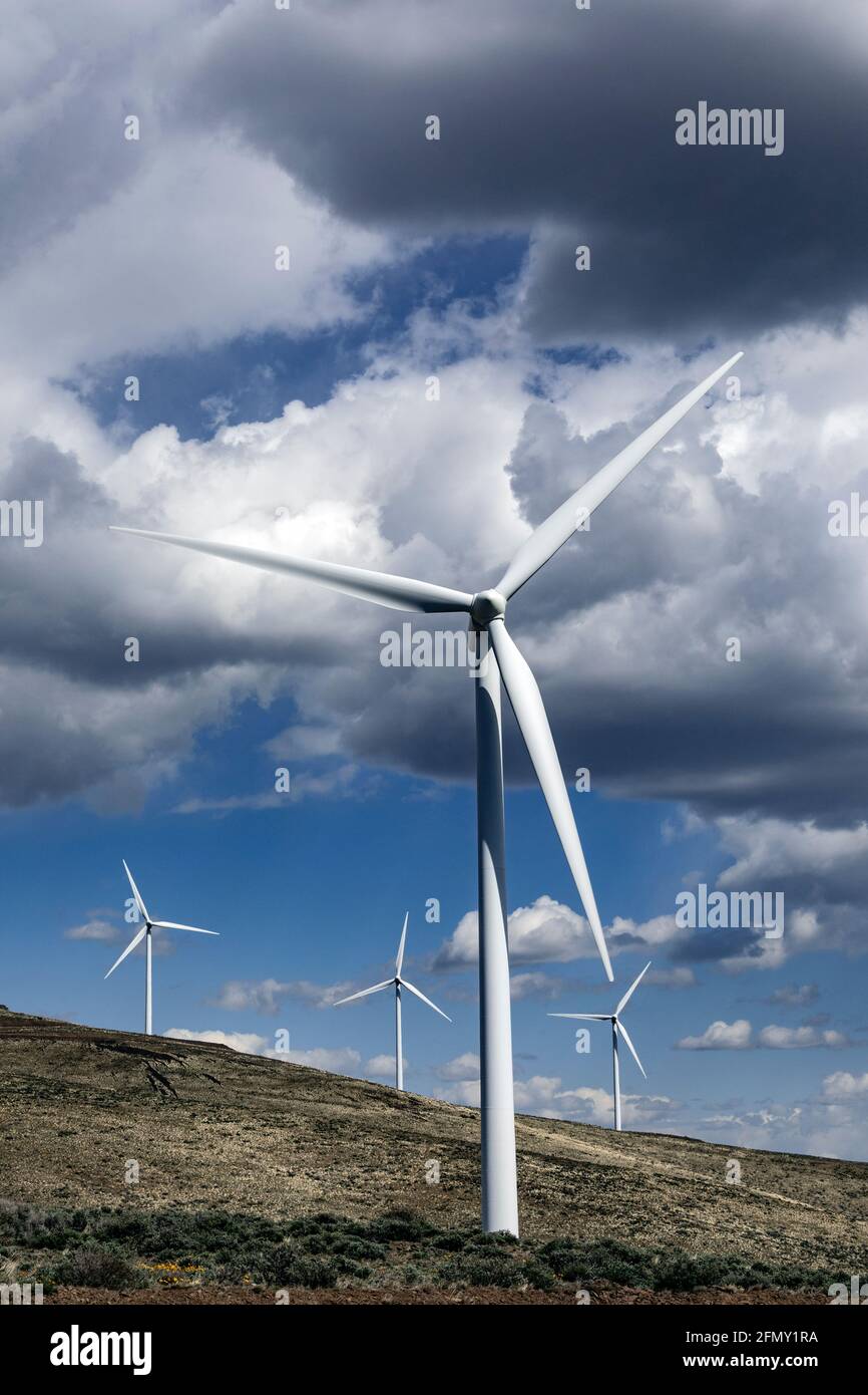 WA20211-00....WASHINGTON - Windpark Wild Horse mit erneuerbarer Energie, der von Puget Sound Energy in der Nähe von Ellensburg betrieben wird. Stockfoto