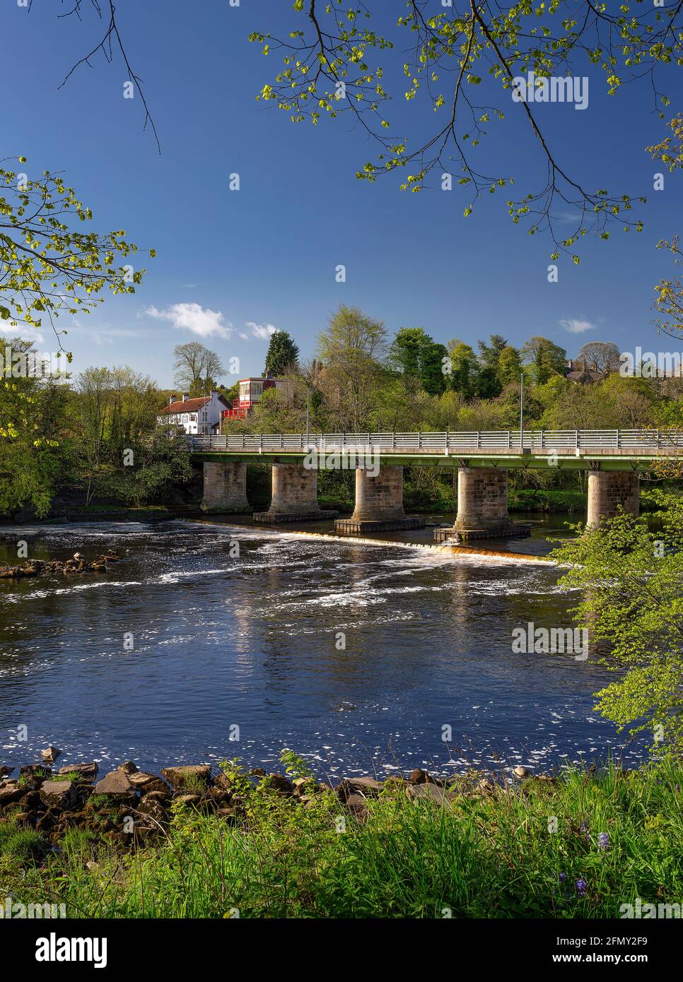 Blick am frühen Morgen auf den Fluss Tyne in Wylam in Northumberland, England, Großbritannien Stockfoto