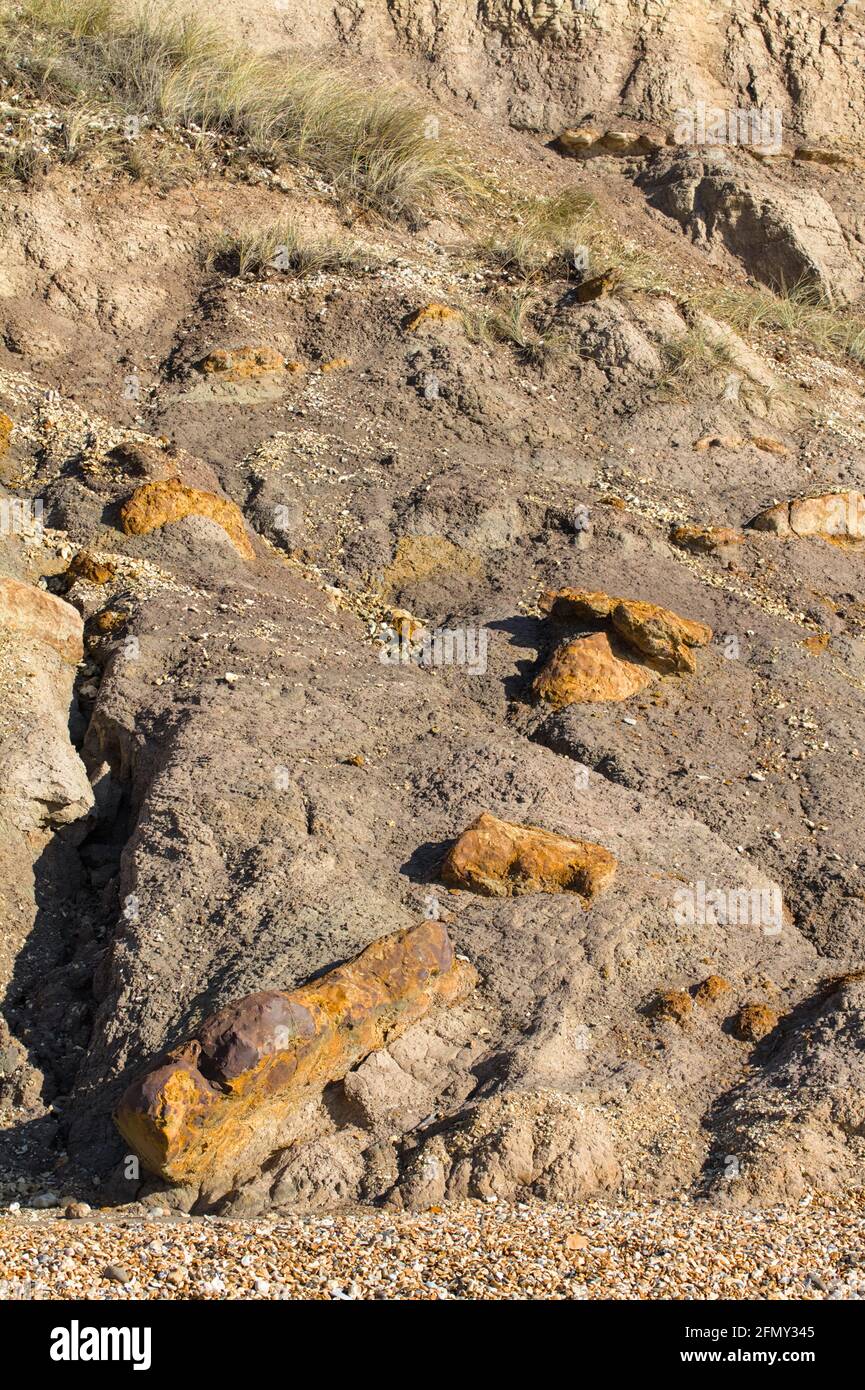 Gefallene Ironstone-Knötchen Aus Eisenkarbonat Eingebettet In Eozän Ton in den Klippen nach EINEM Erdrutsch am Hengistbury Head VEREINIGTES KÖNIGREICH Stockfoto
