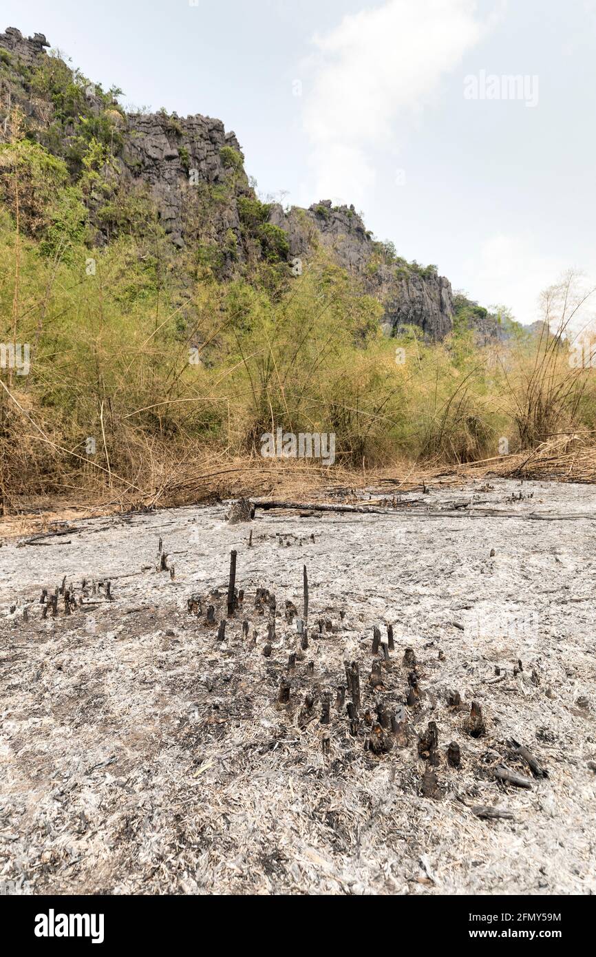 Im Gebiet des Dorfes Nong Ping, Laos, können Landrodungen für die Landwirtschaft niedergebrannt und verbrannt werden Stockfoto