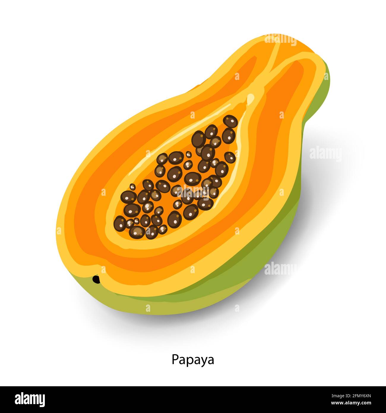 Sliced Papaya Cartoon Vektorgrafik. Bio-Lebensmittel, süßes Dessert, reife tropische Früchte. Halbe Papaya mit Samen, exotischer Salatzutat isoliert Stock Vektor