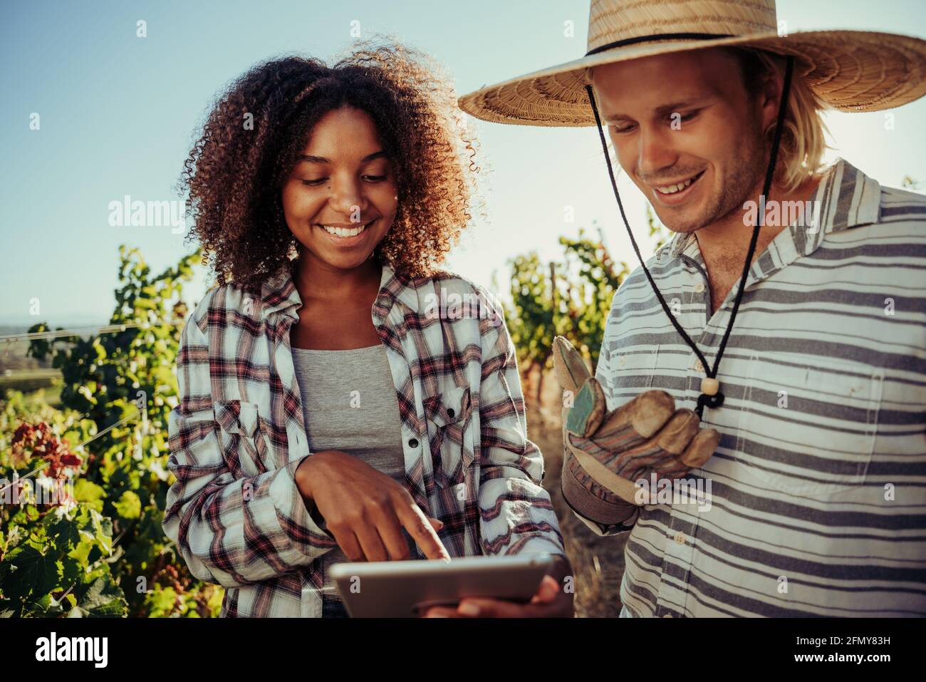 Gemischte Rassen männliche und weibliche Farmpartner arbeiten zusammen diskutieren Informationen werden auf einem digitalen Tablet in Weinbergen angezeigt Stockfoto