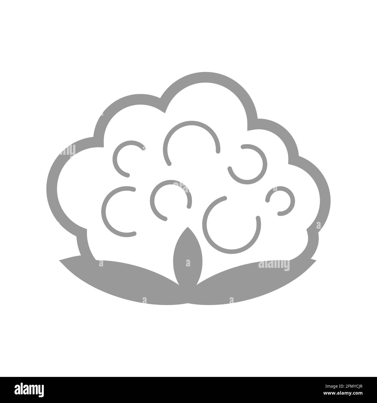 Baumwolle isoliert. Klatsche Blume. Vektorgrafik „Baumwollefloreszenz“ Stock Vektor