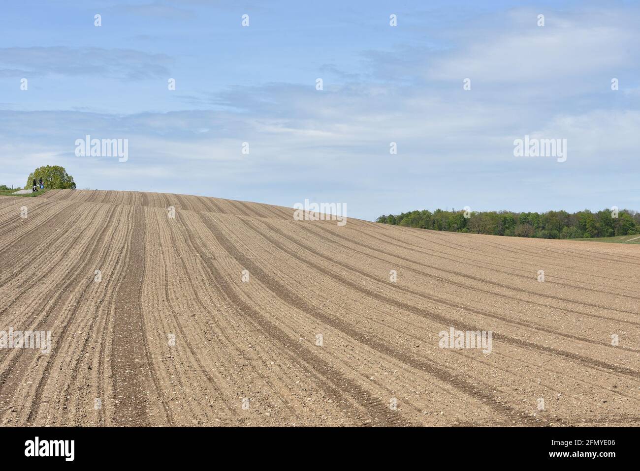 Landwirtschaftliche Feld gepflügt im Frühjahr. Ackerland bereit für die nächste Anbausaison. Stockfoto