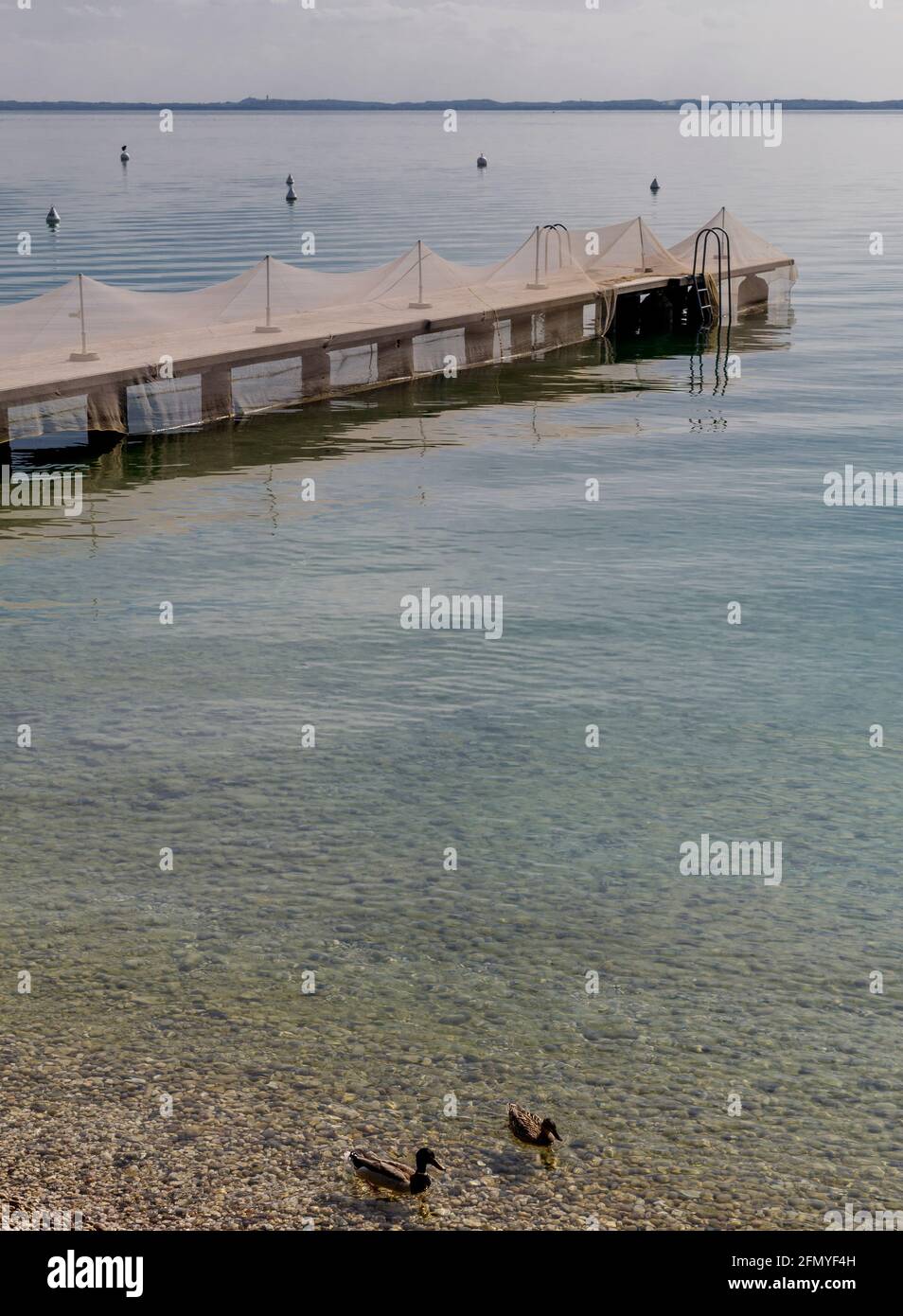 Fischernetze, die auf einem Pier angelegt sind. Stockfoto