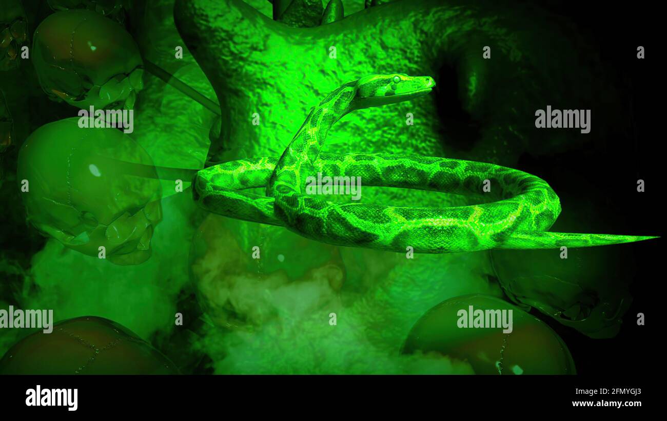 3D-Illustration von Menschen Schädel und Schlangen vor Angezeigt Stockfoto