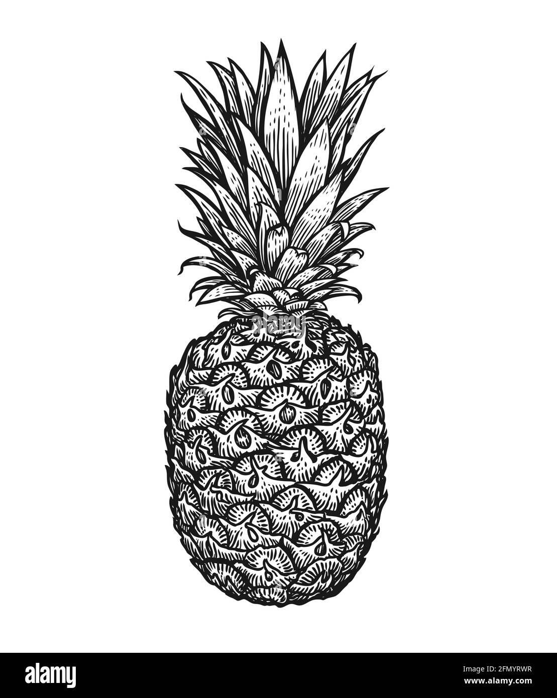 Ananas mit Blättern. Illustration im Stil von tropischen Sommerfrüchten mit Gravur Stock Vektor